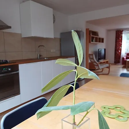 Dvorak 194 Pod Svatou Horou Homestay *