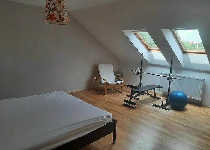 Dvorak 194 Pod Svatou Horou * Pribram