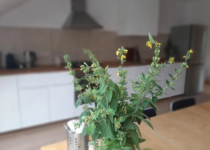 Dvorak 194 Pod Svatou Horou * Příbram