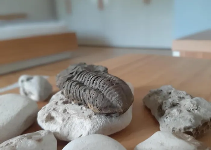 Dvorak 194 Pod Svatou Horou 民宿 *