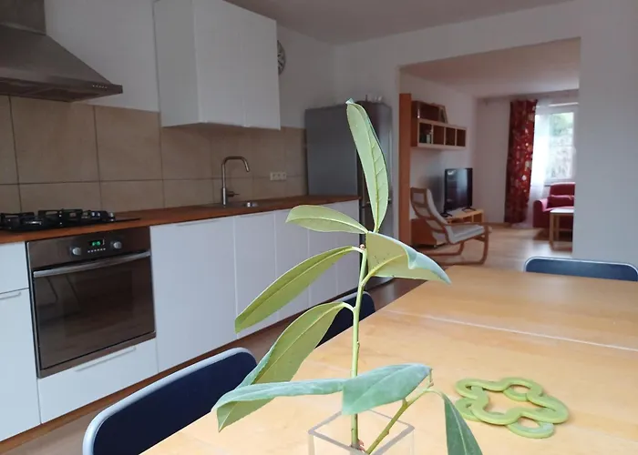 Dvorak 194 Pod Svatou Horou Homestay *