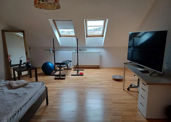 Dvorak 194 Pod Svatou Horou Homestay *