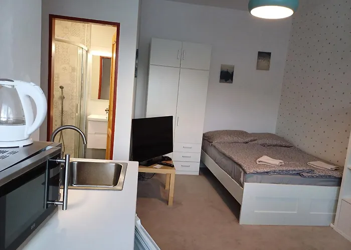 Homestay Dvorak 194 Pod Svatou Horou *